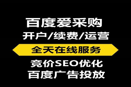 百度竞价排名服务助力：某品牌迅速占领市场